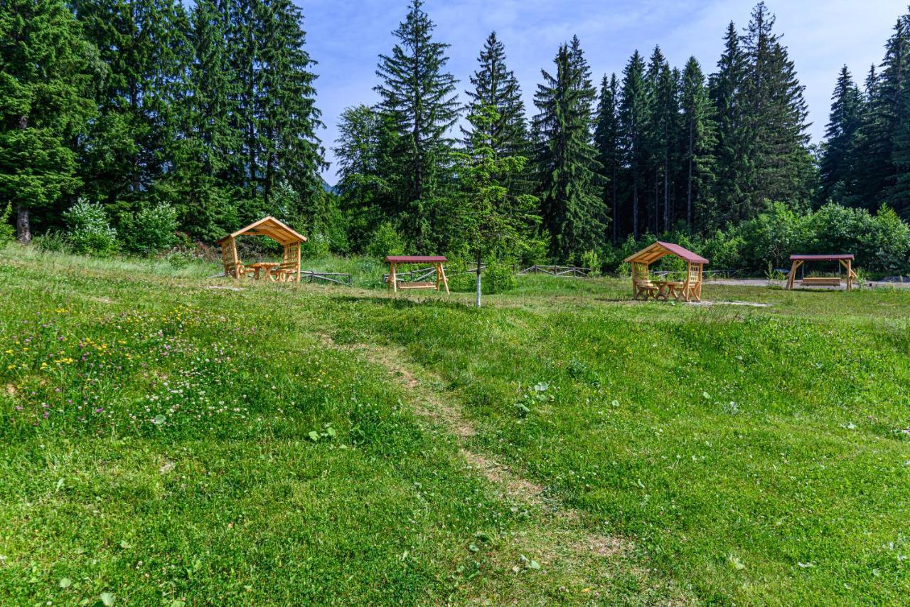 Pine Woods Studio D113 In Silver Mountain Poiana Brasov Extérieur photo